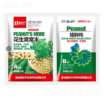 花生窩窩豐+矮胖墩 瀚樂爾