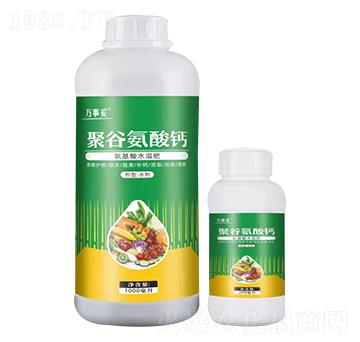 �۹Ȱ����} �f���� ��ķ�_