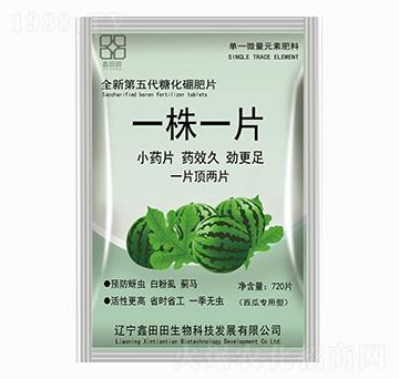 ���ό�(zhu��n)���� һ��һƬ ������