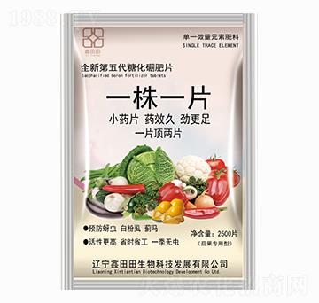 �ѹ���(zhu��n)�� һ��һƬ ������