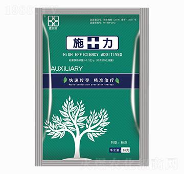 20gʩ���� ������