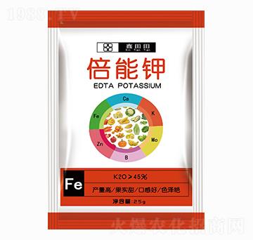 �����  ������