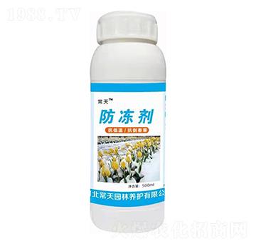 防凍劑 常天