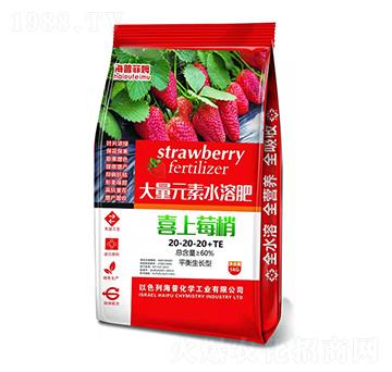 平衡生長(zhǎng)型大量元素水溶肥20-20-20+TE 喜上莓梢 海普化學(xué)