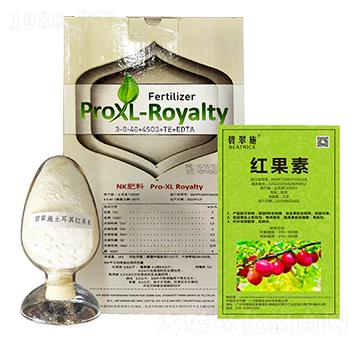 �̴�ʩ���t���� ���(gu��)�r(n��ng)�I(y��)