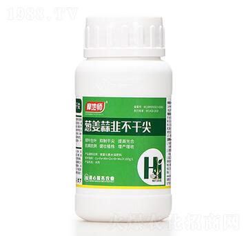 蔥姜蒜韭不干尖 摩地師