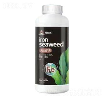 海藻鐵 摩恩洛