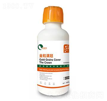 金粒滿冠-美爾豐-康奈爾