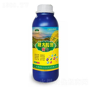 穗大粒飽-美爾豐-康奈爾