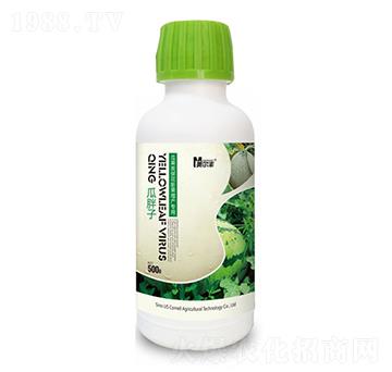 瓜果類?；ㄅ蚬霎a(chǎn)專用肥-瓜胖子-康奈爾