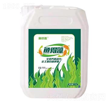 魚(yú)得藻 海絲藍(lán)