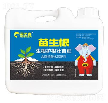 生根護根苗肥 苗生根 諾之森