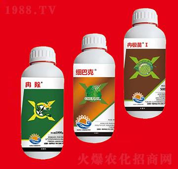 ��(x��)���M�Ϣ� ��Ƚ���W(xu��)