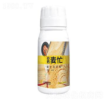 ��æ ���ý�