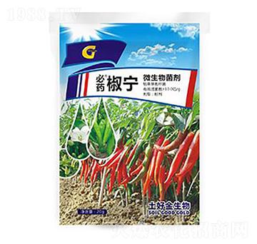 20g���� ���ý�