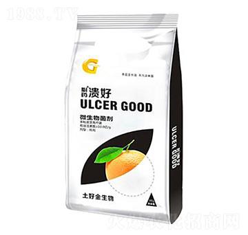 500g΢������� ���� ���ý�