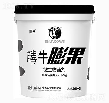 微生物菌劑-膨果1號(hào)-騰牛