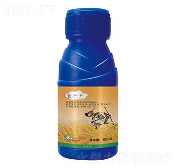 5%��������-����ʿ-