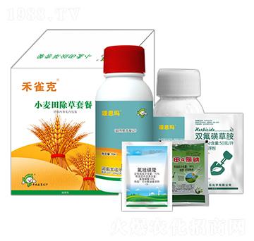 С��������ײ�-��ȸ��