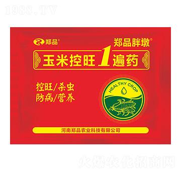 玉米控旺1遍藥 鄭品胖墩 鄭品