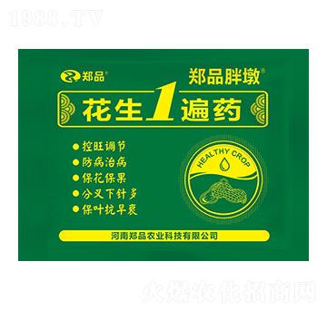 花生1遍藥 鄭品胖墩 鄭品