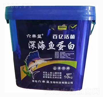 深海魚(yú)蛋白-六豐璽