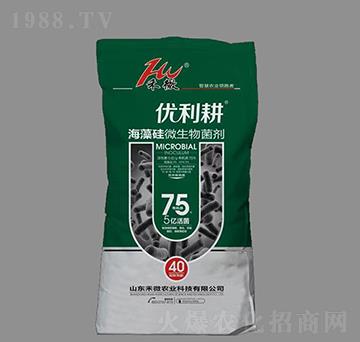5億活菌海藻硅微生物菌劑-優(yōu)力耕-禾微