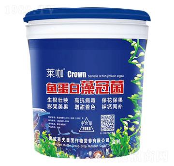 魚蛋白藻冠菌-萊咖-芭甸生物
