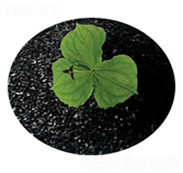 腐植酸鉀-綠色田園