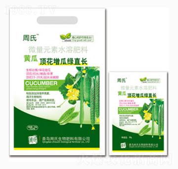 黃瓜頂花增瓜綠直長(zhǎng)-周氏農(nóng)化