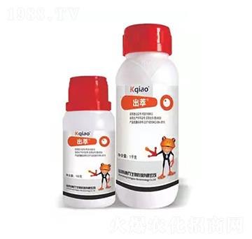 240克每升噻呋酰胺 出萃 康喬生物