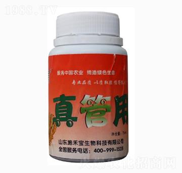 真管用-施禾寶