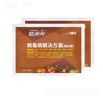 病毒病套餐方案 歐美加 中盈