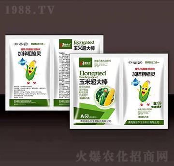 ���׳����+���\�ֿs�`-嫘���