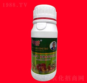 杏桃李子核桃水溶性專用肥 斯高特 黑馬肥業(yè)