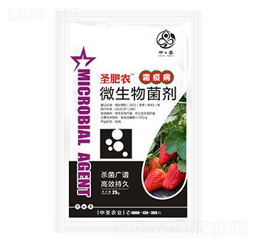 霜疫病專用微生物菌劑-圣肥農(nóng)-中圣農(nóng)業(yè)