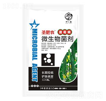 霜霉病專用微生物菌劑-圣肥農(nóng)-中圣農(nóng)業(yè)