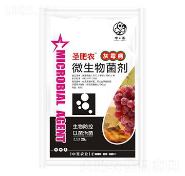 灰霉病專用微生物菌劑-圣肥農-中圣農業(yè)