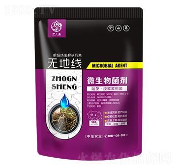 哈茨·淡紫紫孢菌-無地線-中圣農(nóng)業(yè)