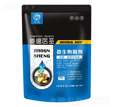 枯草·哈茨木霉菌-姜瘟醫(yī)圣-中圣農(nóng)業(yè)