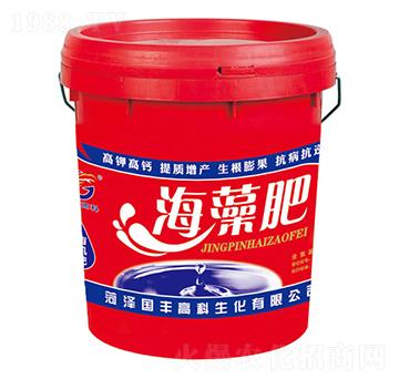 含氨基酸水溶肥料-海藻肥-國豐高科