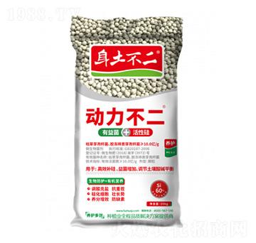 動力不二 身土不二 土木啟生物