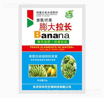 香蕉芒果膨大拉長專用-華杰生物