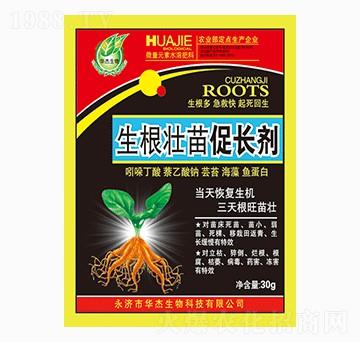 生根壯苗促長(zhǎng)劑-華杰生物