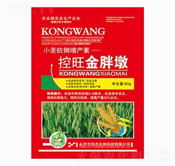 控旺金胖墩-華杰生物