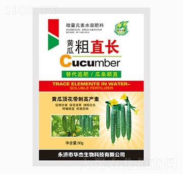 黃瓜粗直長-華杰生物