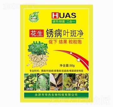 花生銹病葉斑凈-華杰生物