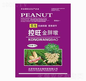 花生控旺金胖墩-華杰生物