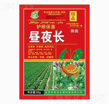 護根保苗晝夜長-華杰生物