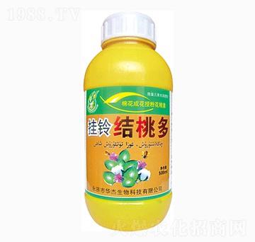 掛鈴結(jié)桃多-華杰生物